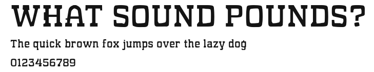 WHAT SOUND POUNDS?.ttf